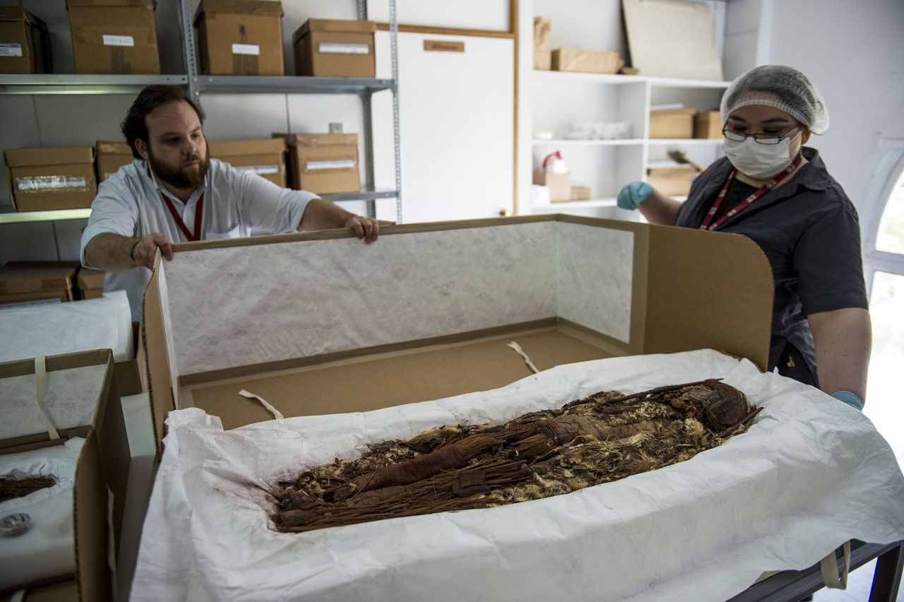 <strong>An expert view. </strong>Chilean anthropologist Veronica Silva shows one of the mummies from the ancient Chinchorro culture at the National Museum of Natural History in Santiago, Chile.