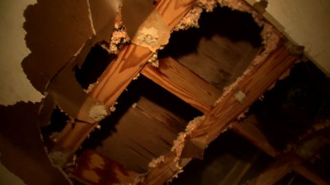 Tree crashes through roof of a home in Jackson, Mississippi