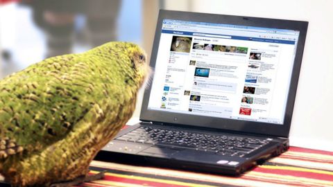 Sirocco checks his Facebook page in 2011. 