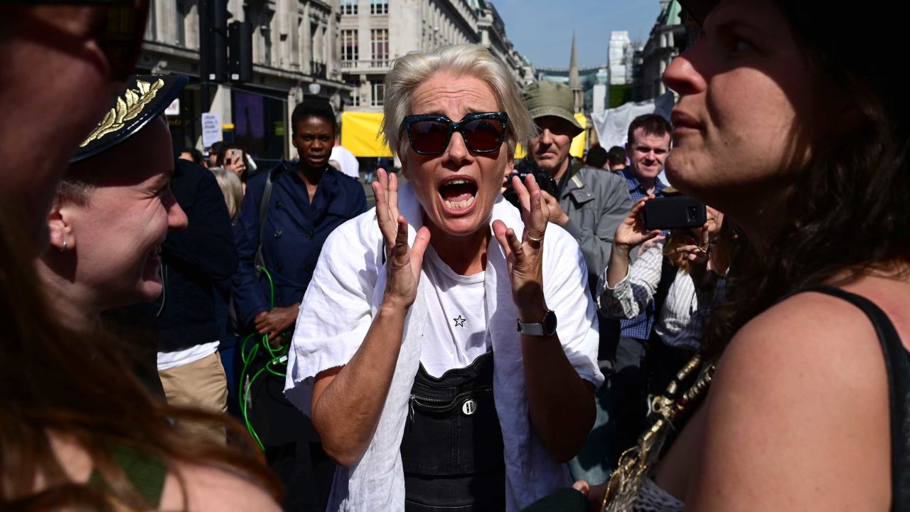 Extinction Rebellion: Emma Thompson boards the pink climate change boat ...