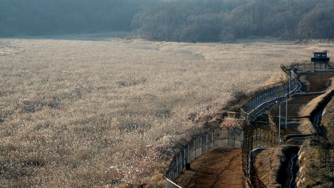 <strong>Unintended refuge: </strong>Because of the restrictions, the area became an unintended refuge for all sorts of endangered species.