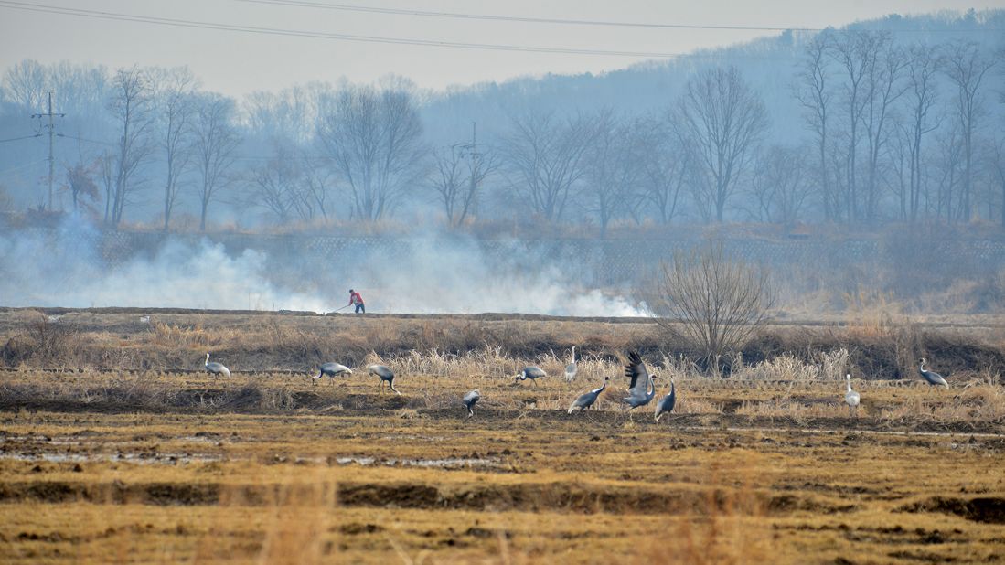 <strong>Using the DMZ as a tool: </strong>"One of the most agonizing questions for me is how North and South Korea can come together and utilize the DMZ as a tool of reconciliation," says Kim.