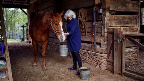 Taylor feeds her horse Billy. The horses, chickens and dogs on her farm are reoccurring characters in many of her stories.