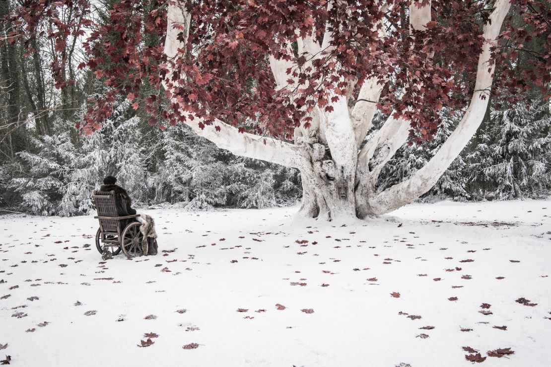 game of thrones season 8 bran tree