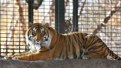 Sanjiv, at the Topeka zoo in November.