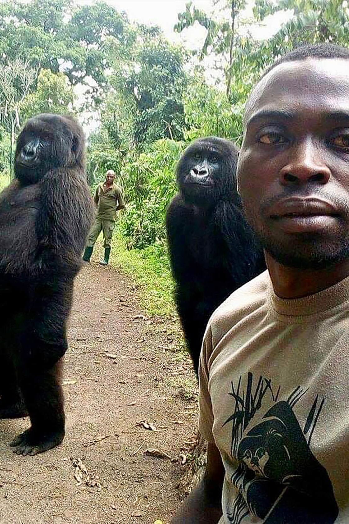 Gorillas strike human pose in selfie with park ranger in the DRC | CNN