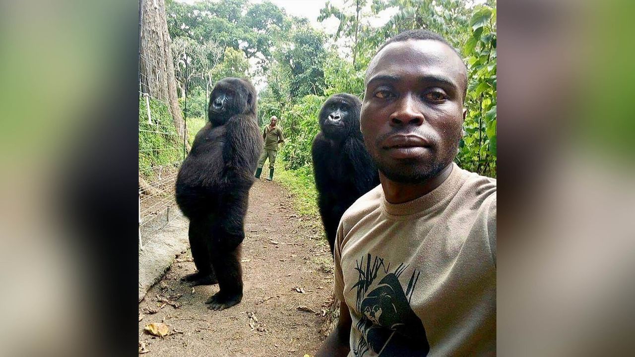 The photobomb that turned Ndakasi into a viral sensation in 2019