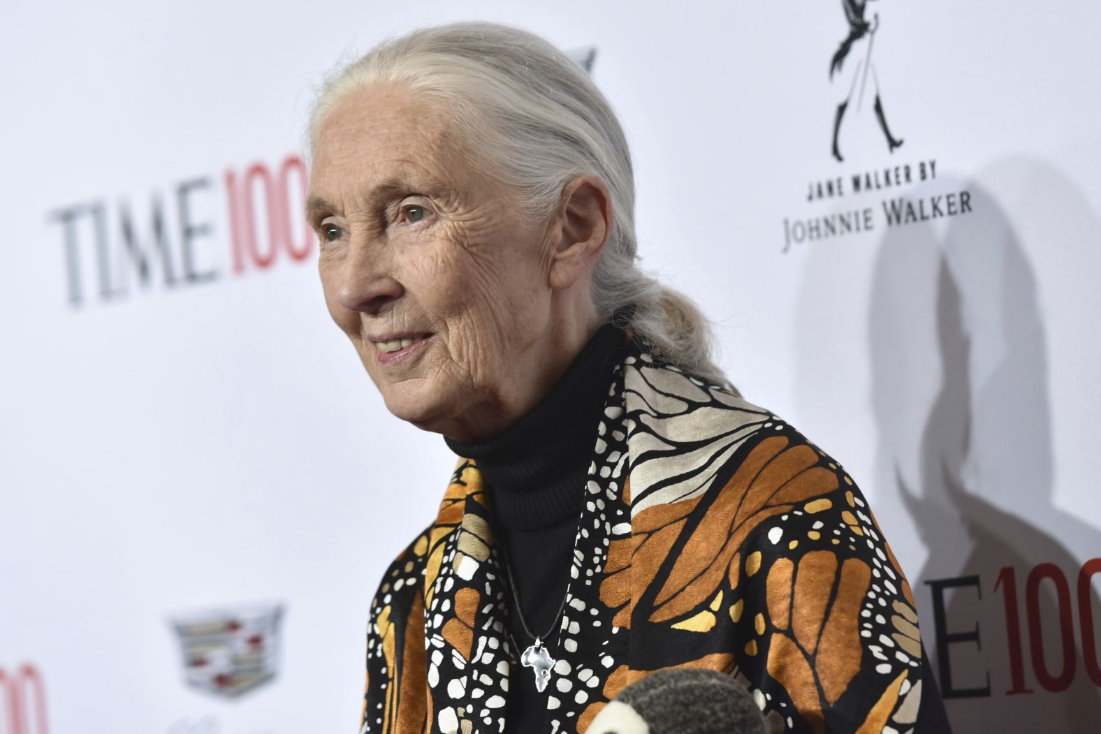 Primatologist Jane Goodall