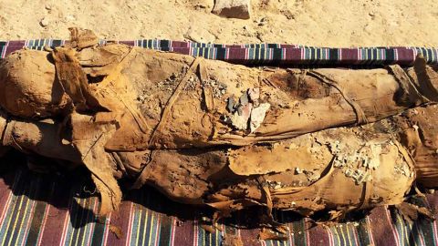 The mummies were found in the southern Egyptian city of Aswan, in a tomb hidden under the sand. 
