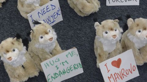 The campaign displayed fluffy lynxes outside the EBRD annual meeting, Warsaw, 2014.