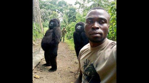Two gorillas, Ndakazi and Ndeze, <a href="https://www.cnn.com/2019/04/22/africa/gorilla-selfie-drc-scli-intl/index.html" target="_blank">mimic human behavior</a> in this selfie taken by Mathieu Shamavu, a worker at Virunga National Park in the Democratic Republic of Congo. "Those gorilla gals are always acting cheeky so this was the perfect shot of their true personalities!" <a href="https://www.instagram.com/p/BwjjJmoFLWz/" target="_blank" target="_blank">the park said on Instagram</a> on Monday, April 22.