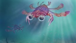 01 chimera crab artistic rendition