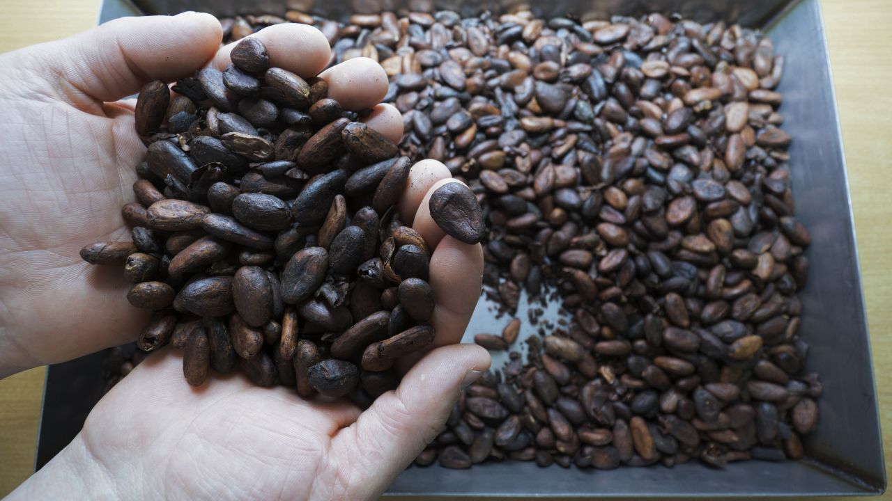 Mondelez plans to source all of the cocoa it uses for its chocolate brands through Cocoa Life by 2025.