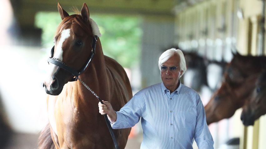 ELMONT, NY - JUNE 06:  Triple Crown and Belmont Stakes contender Justify is walked in his barn by trainer Bob Baffert after arriving  prior to the 150th running of the Belmont Stakes at Belmont Park on June 6, 2018 in Elmont, New York.  (Photo by Al Bello/Getty Images)