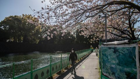 Other royal attractions surrounding the Imperial Palace, like the East Gardens, are open to the public.