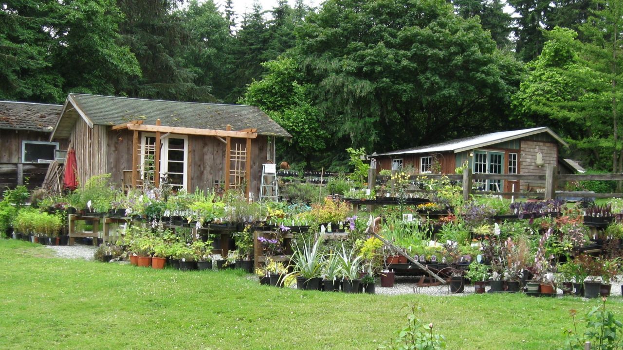 Besides flowers, the Chocolate Flower Farm sells chocolate-mint tea and chocolate-berry jams.