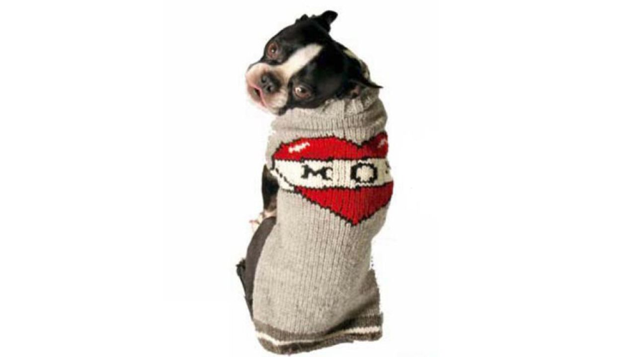 <strong>Chilly Dog Tattooed Mom Dog Sweater ($16.99; </strong><a href="https://amzn.to/2LghjOj" target="_blank" target="_blank"><strong>amazon.com</strong></a><strong>)</strong><br />Show mom and her pup some love with a cute "mom" sweater<br />