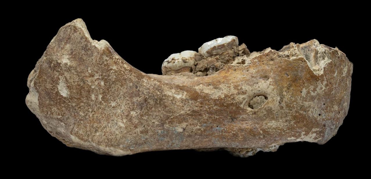A 160,000-year-old Denisovan jawbone found in a cave on the Tibetan Plateau is the first evidence of the presence of this ancient human group outside the Denisova Cave in Siberia.