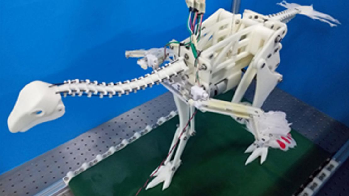 A Caudipteryx robot built for testing passive flapping flight.