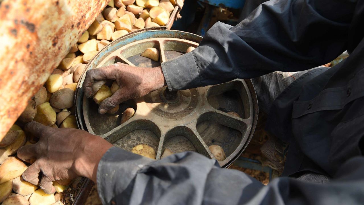 Laborers at work on a potato farm. Rural incomes have been declining in India.