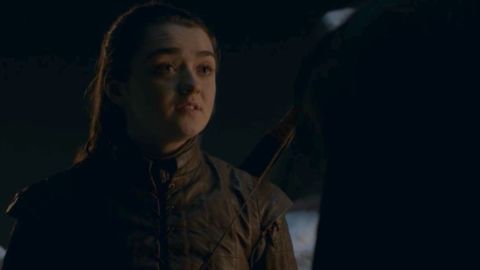 12 arya sansa stark