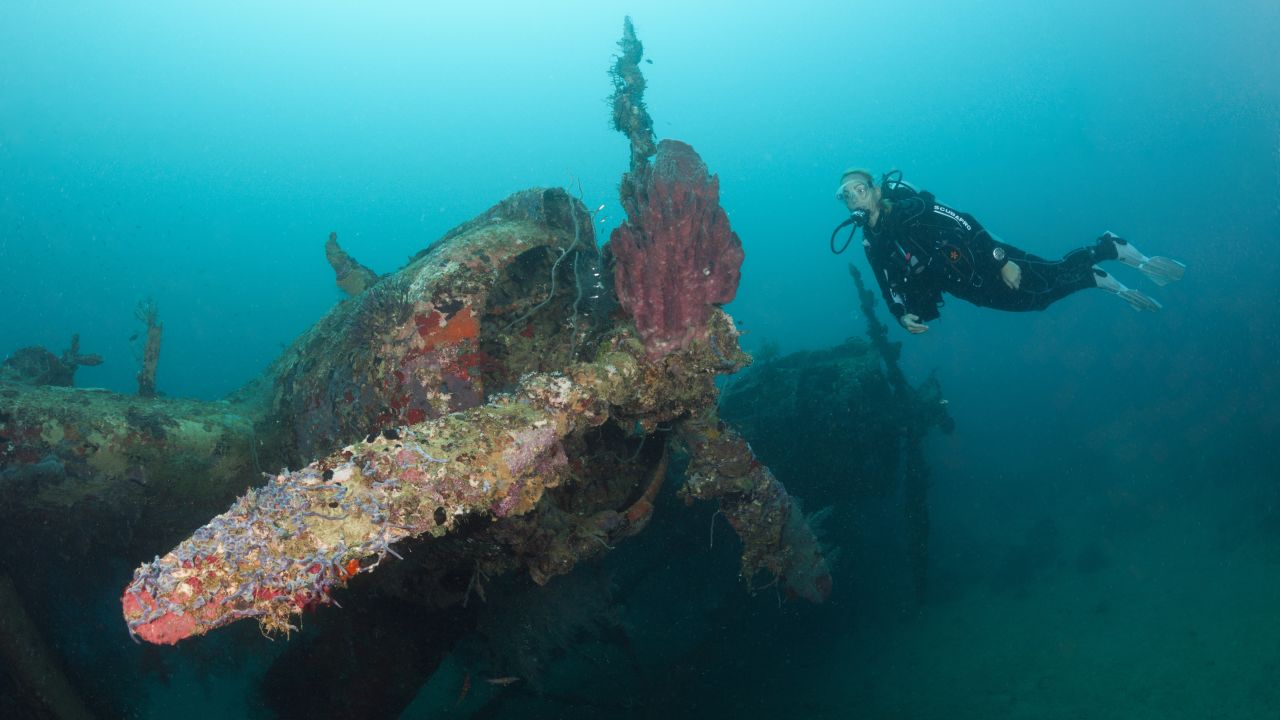 <strong>Solomon Islands: </strong>Decades after the last World War II skirmishes, the ocean floor  around the islands is home to sunken seaplanes, oil tankers and submarines for divers to explore.