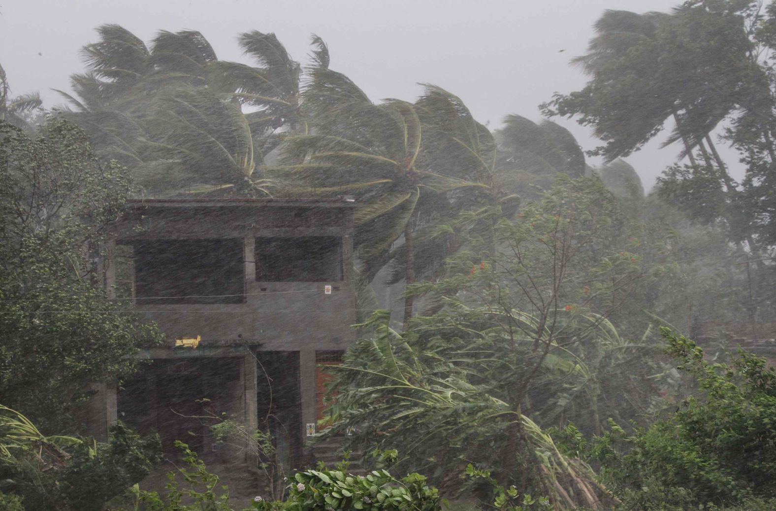 Heavy winds bend trees near Puri on May 3.