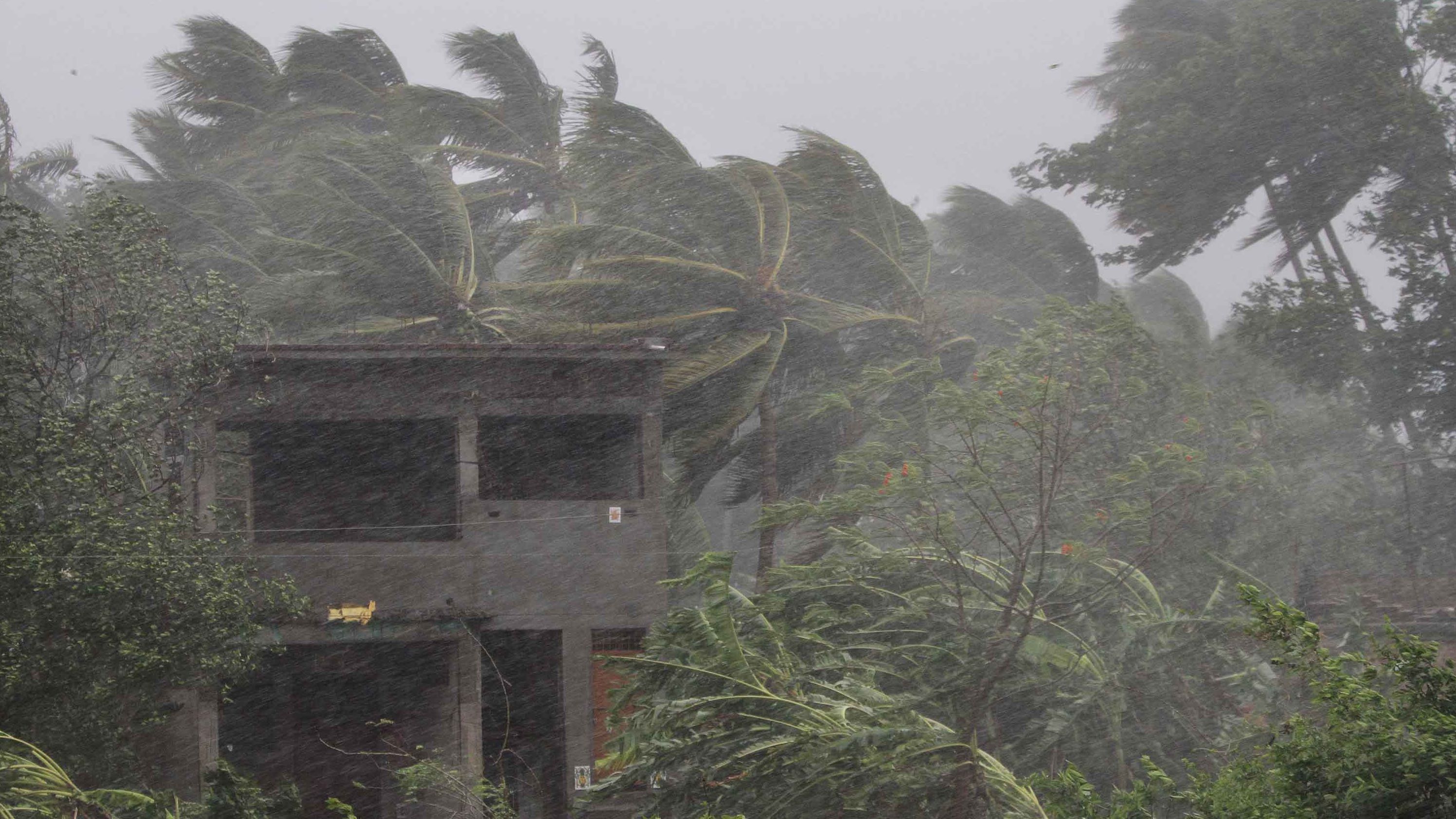 Heavy winds bend trees near Puri on May 3.