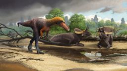 03 ancient finds dinosaur