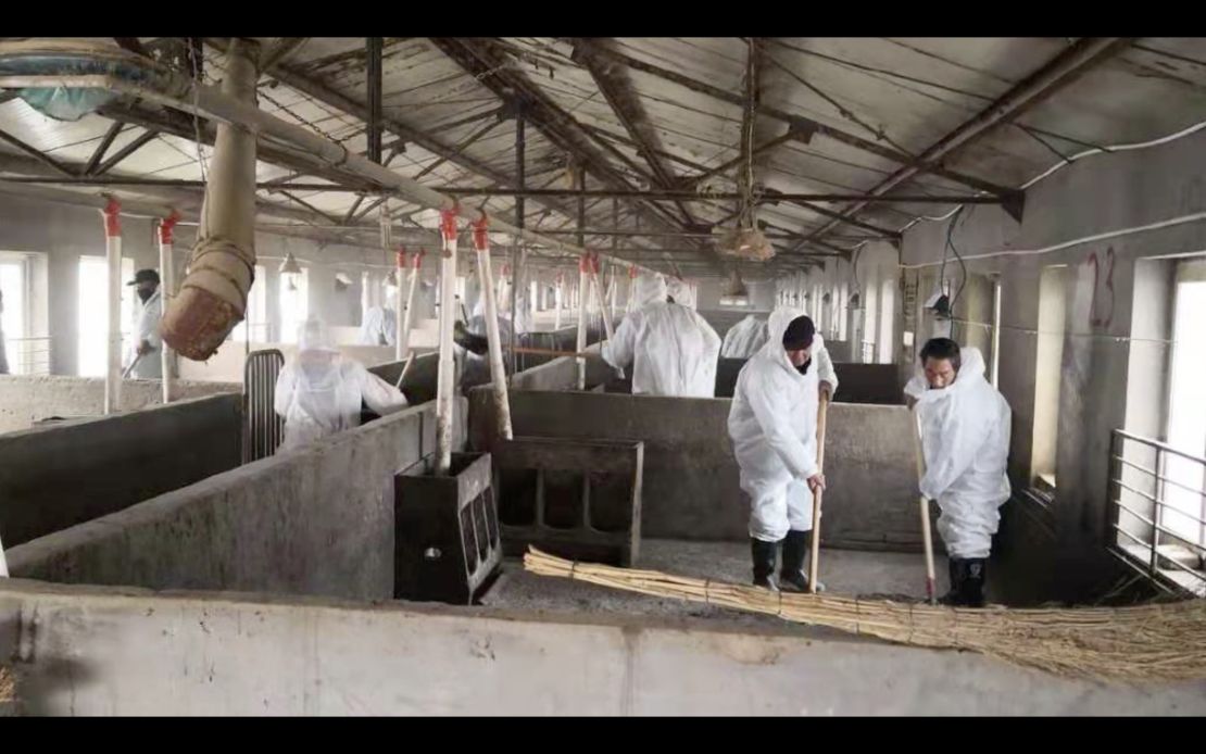 Virus prevention teams working at Sun Dawu's pig farm after the outbreak, which killed more than 15,000 of his animals by March 2019.