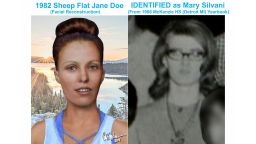 01 sheeps flat cold case 