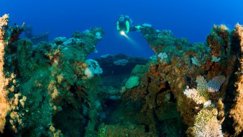 The waters around the Marshall Islands are home to spectacular scuba diving sites. 