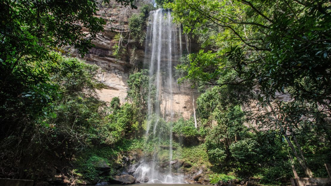 Powerful rivers flow through the forests of Fouta Djallon.