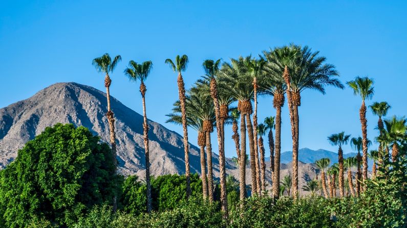 <strong>Palm Springs, California:</strong> Ah -- a perfect blue sky, palm trees and the San Jacinto Mountains. Memorial Day weekend wraps up the tourist season here until fall as the truly sizzling heat starts to settle in.