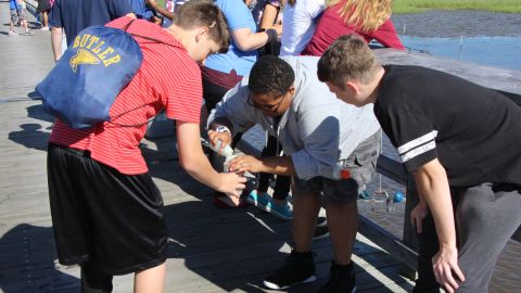 North Carolina middle school students sampling plankton for identification.