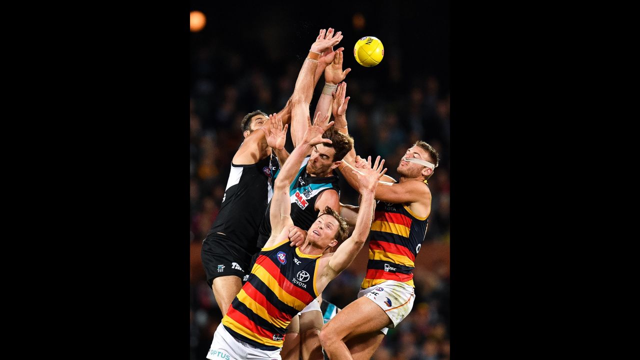 Alex Keath of the Crows competes for the ball during the round eight AFL match between Port Adelaide and the Adelaide Crows on May 11 in Adelaide, Australia. 