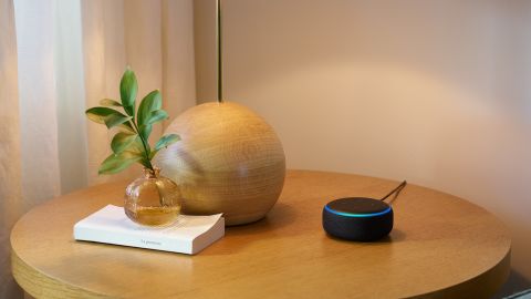 underscored amazon echo dot