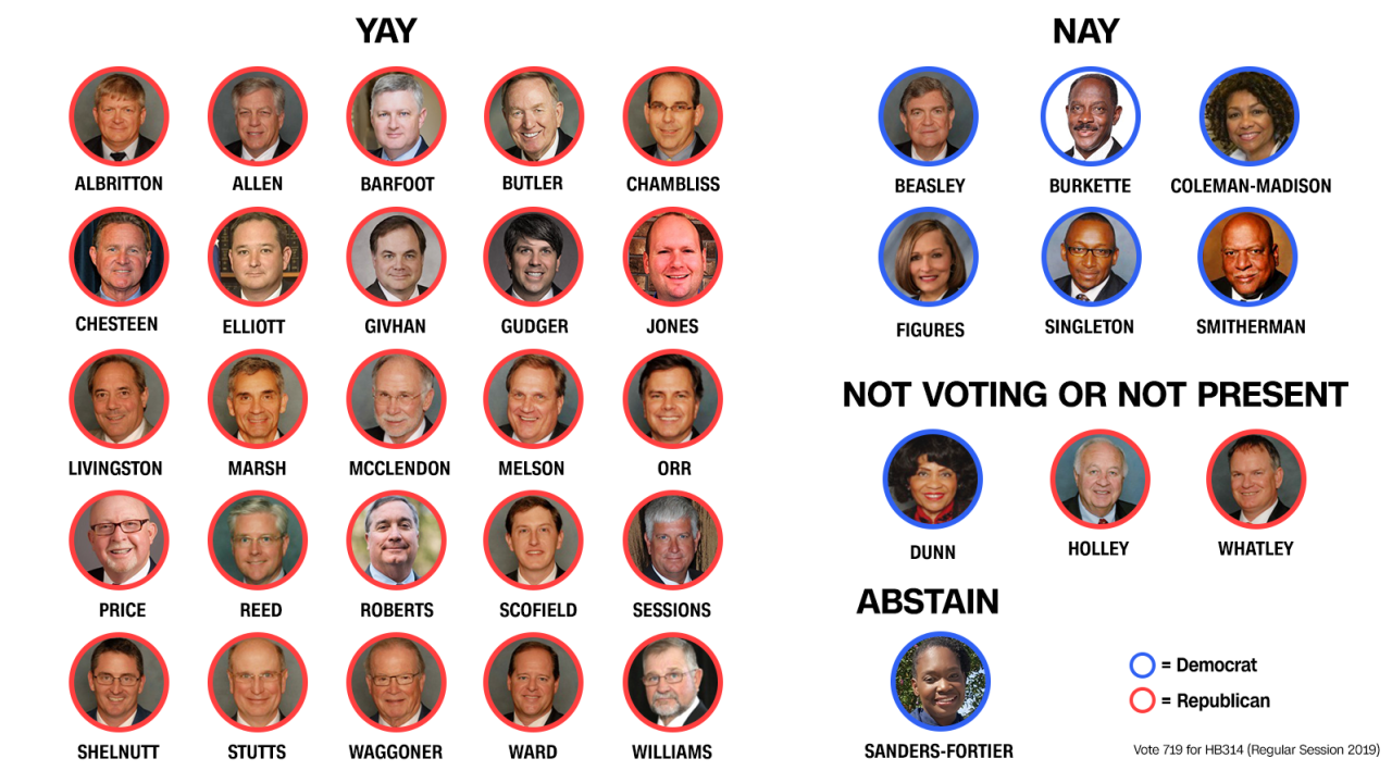 20190514-alabama-senate-abortion-vote