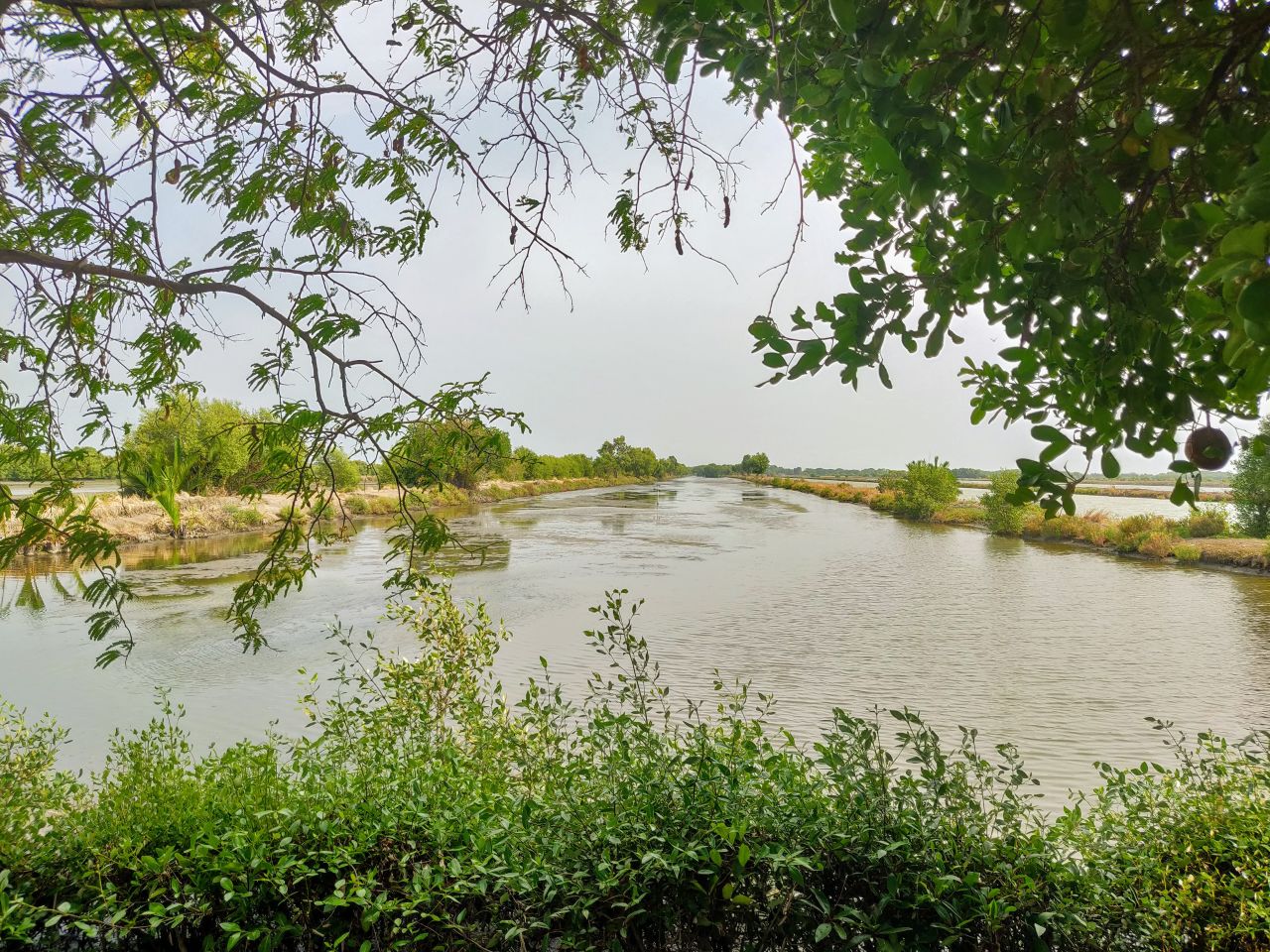 Uncle Sorn's farm is on the outskirts of Bangkok but it feels like a world away from the hustle and bustle of the city.