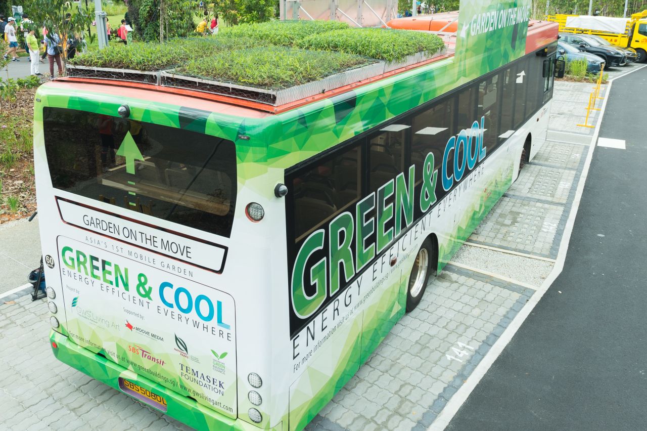 The plants are succulents and grasses that have been specially selected to withstand warm conditions on top of the buses. 