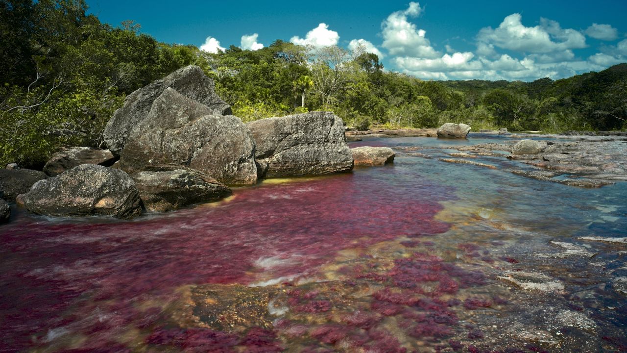 <strong>Cano Cristales, Colombia: </strong>Often referred to as the "River of Five Colors," the waters of Cano Cristales become an explosion of bright colors between Colombia's wet and dry seasons.
