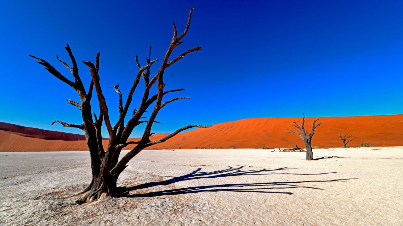 <strong>Dead Vlei, Namibia:</strong> One of the most intriguing places in Namibia,<strong> </strong>Dead Vlei sits among the tallest sand dunes in the world, with some as high as 400 meters. 