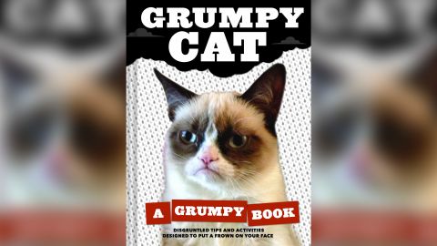 grumpy cat book