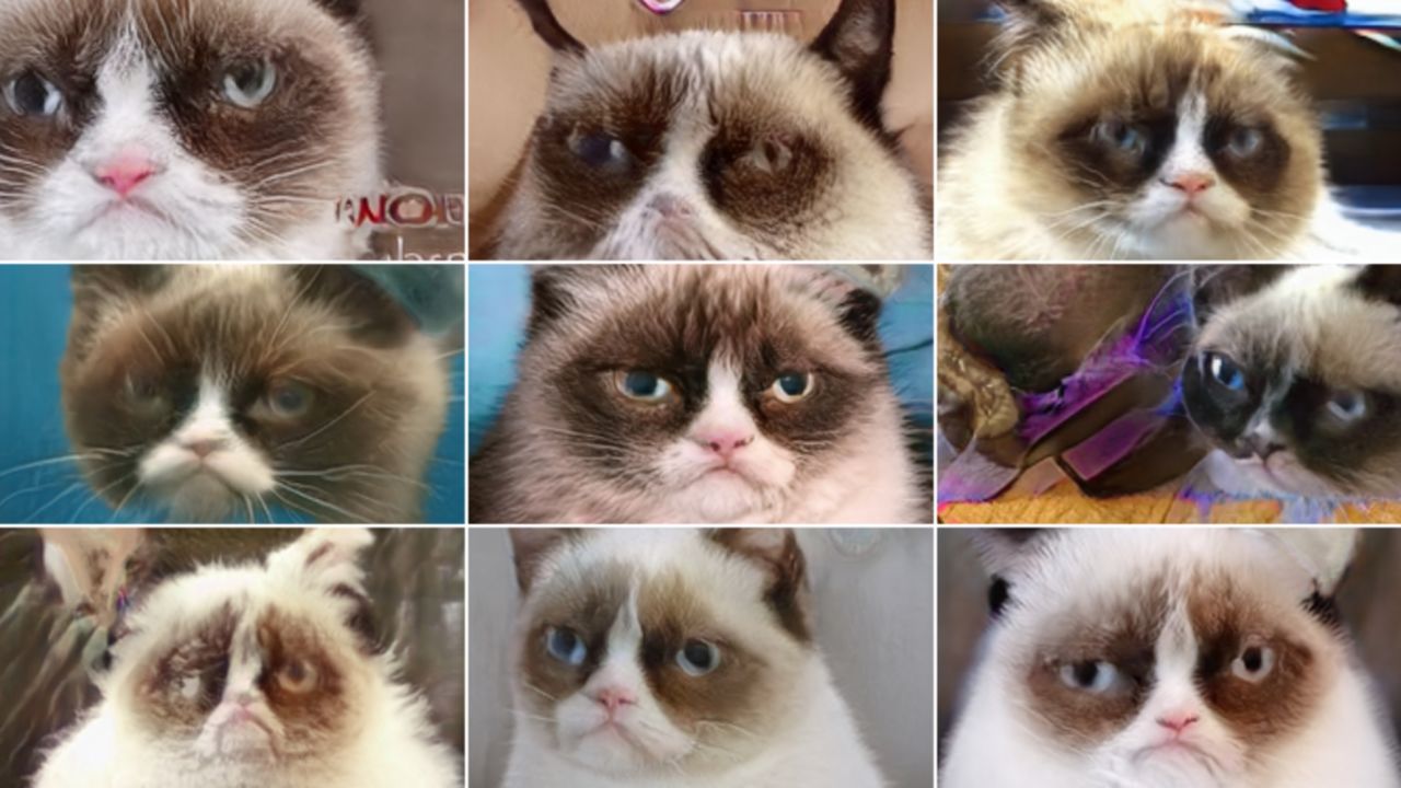 These AI generated images of cats look like Grumpy Cat, but are not real. 