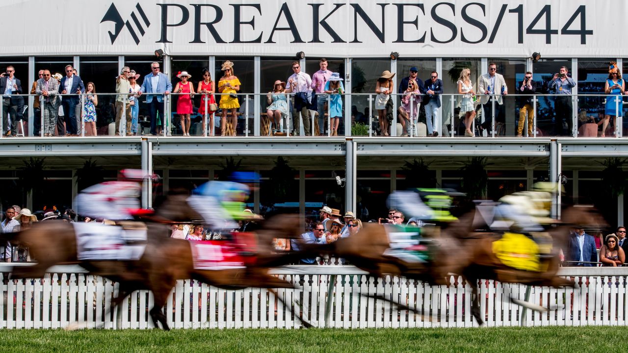 The field of contenders passes The Stronach Group corporate chalet in the Gallorette Stakes on Preakness Day at Pimlico Race Course in Baltimore on Saturday.