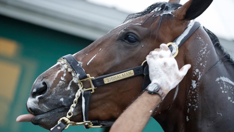Signalman gets a bath as the field prepares for the running of the 144th Preakness horse race at Pimlico in Baltimore on Saturday.