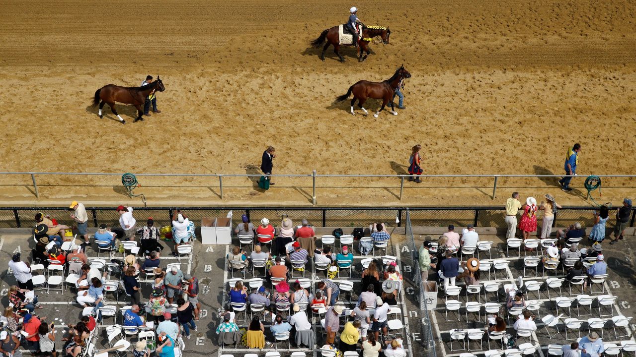 Spectators gather as horses pass on the track at Pimlico Race Course ahead of the Preakness Stakes horse race Saturday.