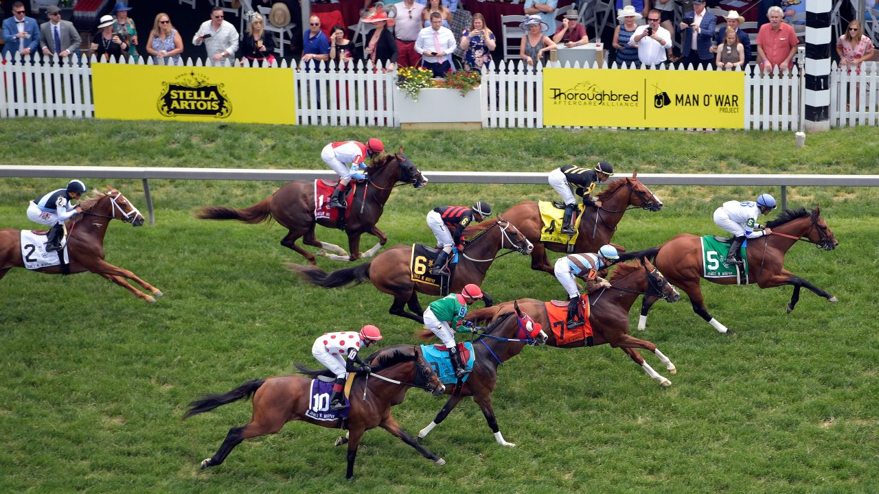 Horses move on the turf in the fifth race ahead of the 144th Preakness Stakes horse race at Pimlico Race Course on Saturday.