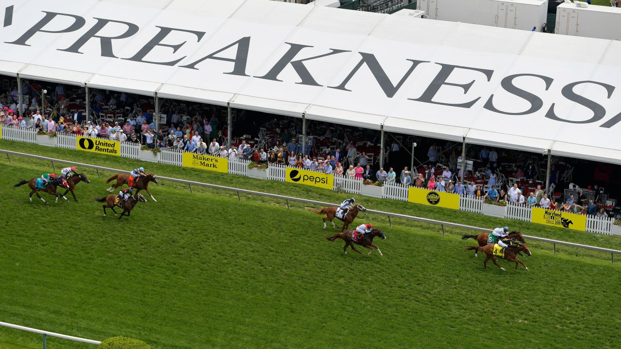 Horses move on the turf in the fifth race ahead of the 144th Preakness Stakes horse race at Pimlico Race Course.
