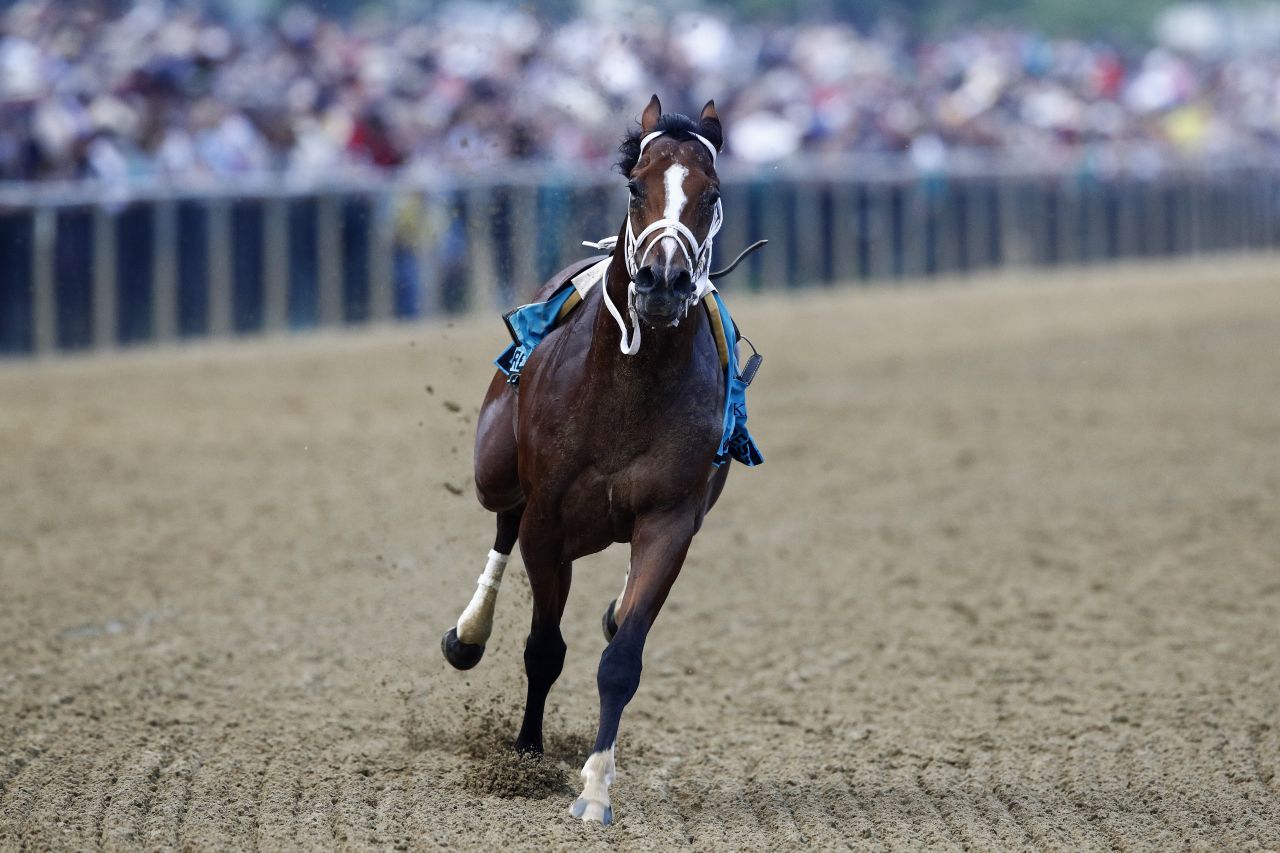 Bodexpress runs in the 144th Preakness Stakes horse race without jockey John Velazquez at Pimlico Race Course on Saturday.